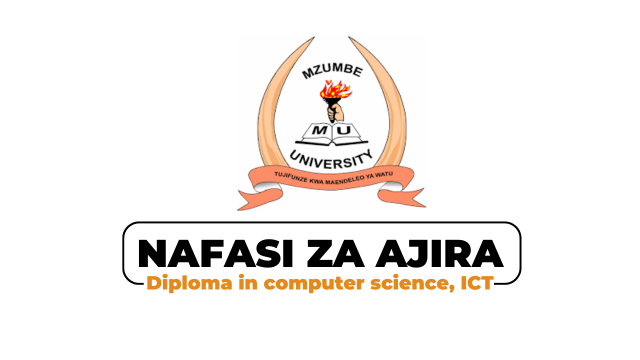 Mzumbe University Hiring Computer Laboratory Technician