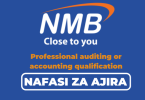 NMB Bank Tanzania Hiring Audit Manager Credit