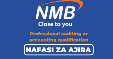 NMB Bank Tanzania Hiring Audit Manager Credit