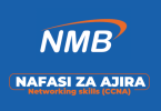 NMB Bank Tanzania Hiring Zone Systems Administrator