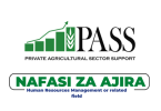 PASS Trust Tanzania Hiring Human Resources Executive