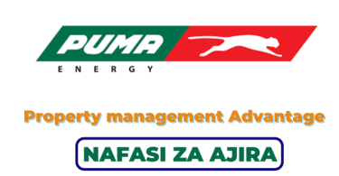 Puma Energy Tanzania Hiring Network Planner