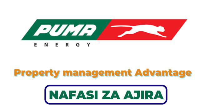 Puma Energy Tanzania Hiring Network Planner