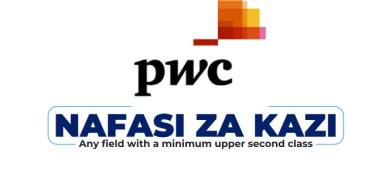 PwC Tanzania Hiring Tax Senior Associate - Accounting; Bookkeeping & Payroll