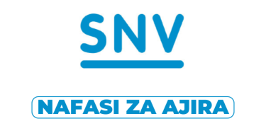 SNV Tanzania Hiring Sector Leader Energy