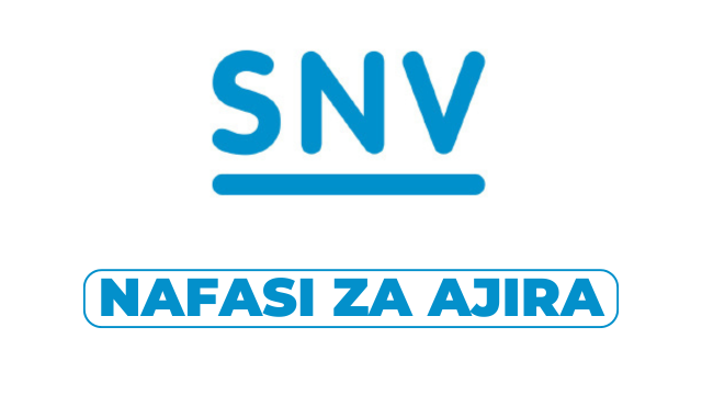 SNV Tanzania Hiring Sector Leader Energy