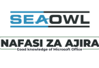 SeaOwl Tanzania Hiring QHSE Manager