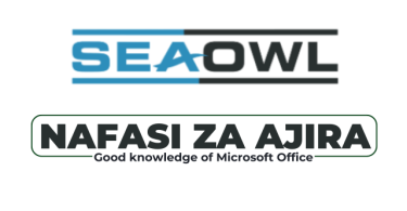 SeaOwl Tanzania Hiring QHSE Manager