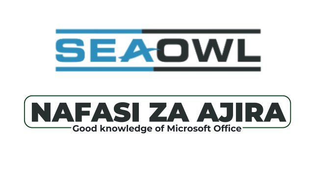 SeaOwl Tanzania Hiring QHSE Manager