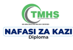 TMHS Tanzania Hiring Pharmaceutical Technician