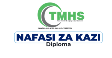 TMHS Tanzania Hiring Pharmaceutical Technician