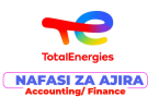 TotalEnergies Tanzania Hiring Controlling Assistant