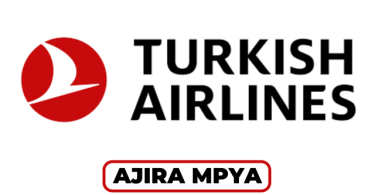 Turkish Airlines Tanzania Hiring Cargo Representative