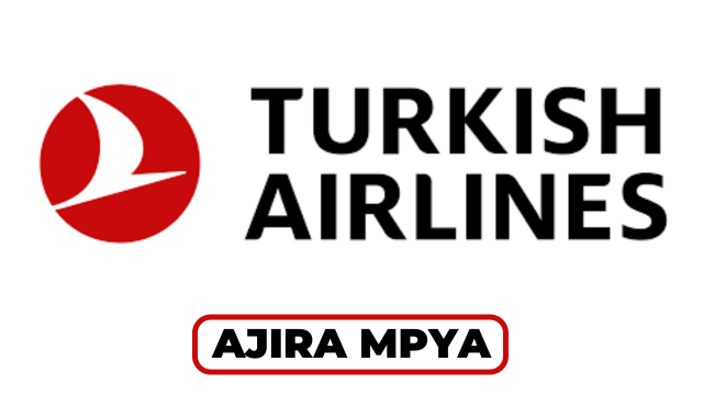 Turkish Airlines Tanzania Hiring Cargo Representative