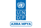 UNDP Tanzania Hiring Innovation & Technical Assistance Analyst