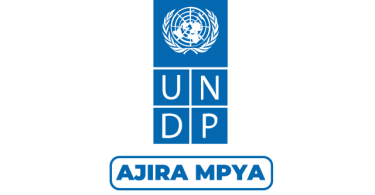 UNDP Tanzania Hiring Innovation & Technical Assistance Analyst