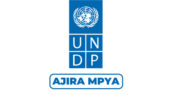 UNDP Tanzania Hiring Innovation & Technical Assistance Analyst