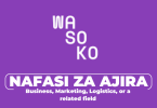 Wasoko Tanzania Hiring Head Of Commercial