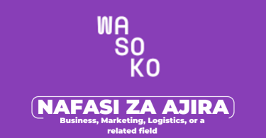 Wasoko Tanzania Hiring Head Of Commercial