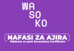 Wasoko Tanzania Hiring Security Controller or Supervisor