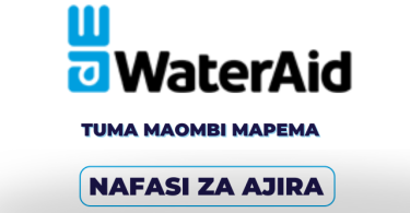 WaterAid Tanzania Hiring International Management Accountant