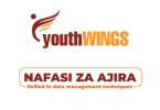 Youth Wings Tanzania Hiring Data Manager