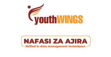 Youth Wings Tanzania Hiring Data Manager