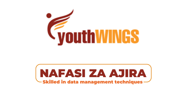 Youth Wings Tanzania Hiring Data Manager