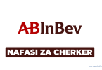 AB InBev Tanzania Hiring Checker