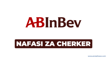 AB InBev Tanzania Hiring Checker