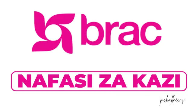 BRAC Tanzania Hiring HR Manager; Services