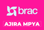 BRAC Tanzania Hiring Procurement Officer