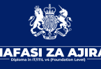 British Embassy Tanzania Hiring Deputy IT Support Officer