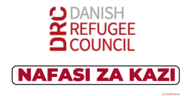 Danish Refugee Council Tanzania Hiring Protection Officer