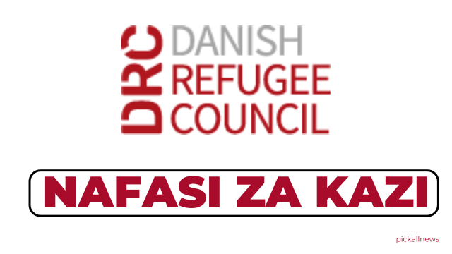 Danish Refugee Council Tanzania Hiring Protection Officer