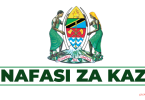 Embassy of Tanzania in The Hague Hiring Hygienic Attendant; Cleaner