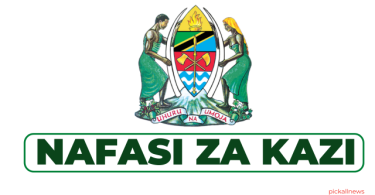 Embassy of Tanzania in The Hague Hiring Hygienic Attendant; Cleaner