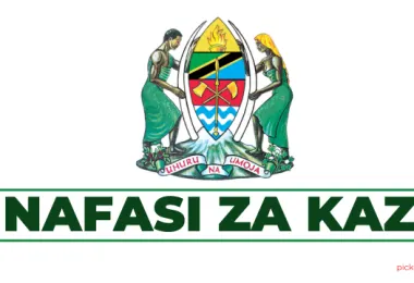 Embassy of Tanzania in The Hague Hiring Hygienic Attendant; Cleaner