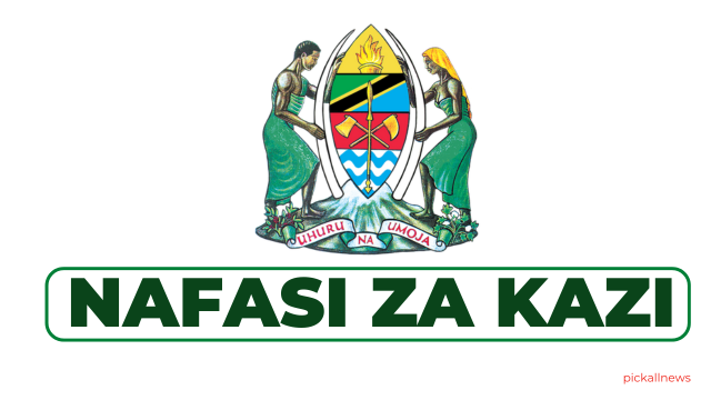 Embassy of Tanzania in The Hague Hiring Hygienic Attendant; Cleaner