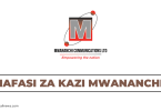 Mwananchi Communications Tanzania Hiring Freelance Business Executives