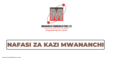 Mwananchi Communications Tanzania Hiring Freelance Business Executives