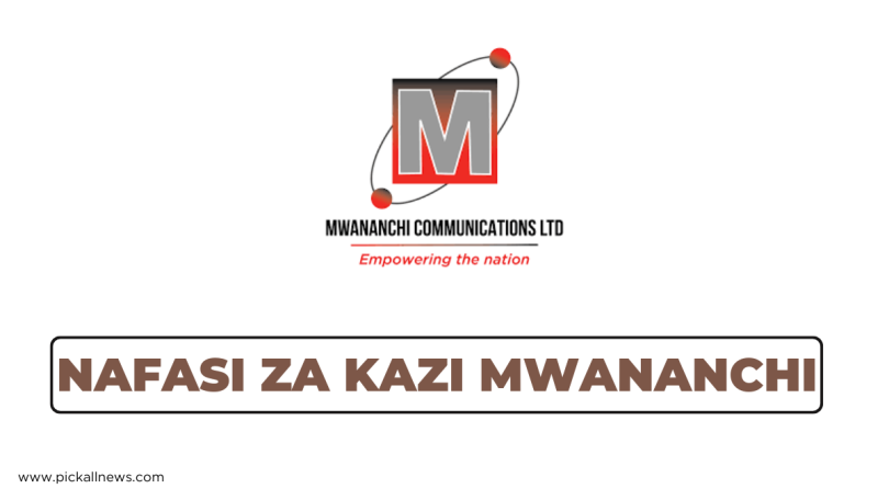 Mwananchi Communications Tanzania Hiring Freelance Business Executives