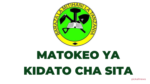 NECTA Matokeo ya Kidato cha sita ACSEE 2024-25 Results Release Out