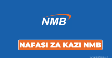 NMB Bank Tanzania Hiring Senior Manager Finance & Control