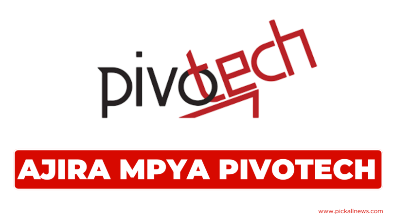 PIVOTECH Tanzania Hiring Assistant HR Officer