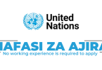 United Nations Tanzania Hiring Library Intern