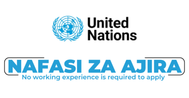 United Nations Tanzania Hiring Library Intern