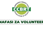 Volunteer Opportunities at CCBRT