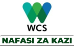 WCF Tanzania Hiring Finance and Logistics Officer