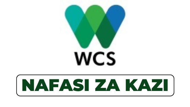 WCF Tanzania Hiring Finance and Logistics Officer